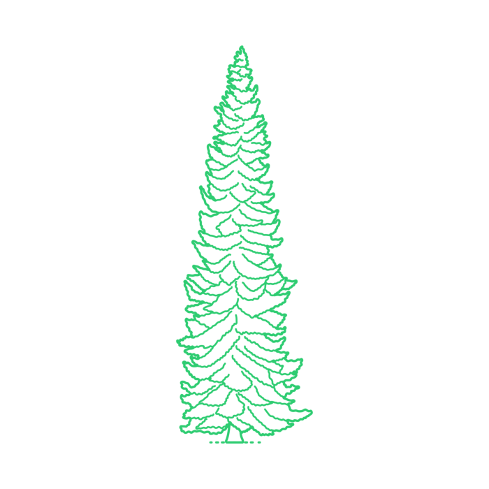 Free Download Vectors, Plants Spruces Norway Spruce Line Art Svg Vector