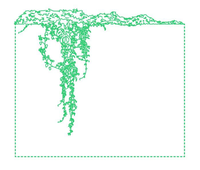 Free Vector Plants Vines Line Tracing Svg Vector