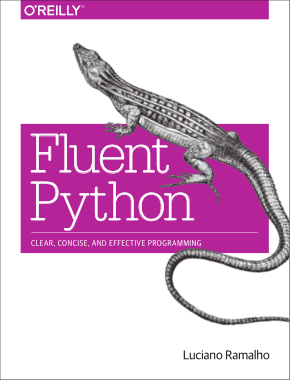 Fluent Python Book