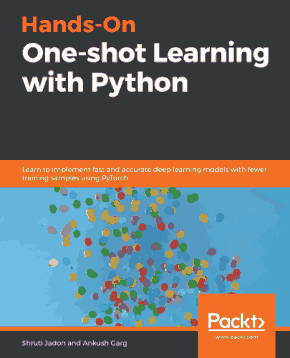 Hands-On One-shot Learning with Python Book