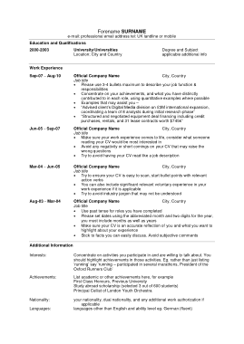 Professional CV Example Free Template