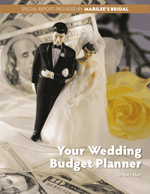 Wedding Budget Planner Worksheet Free Template