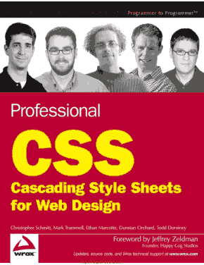 Professional CSS for Web Design Book
